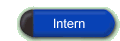 Intern
